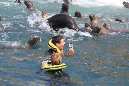 Palomino Islands - Swimming with sea lions from Lima